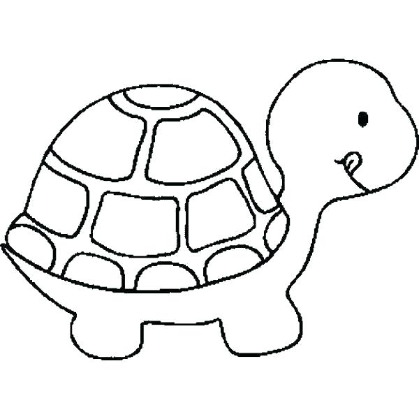 Sea Turtle Line Drawing | Free download on ClipArtMag