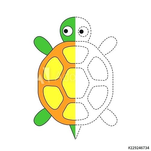 500x500 Simple Turtle Drawings Vector Line Art Turtle Face Zoo Wild Animal