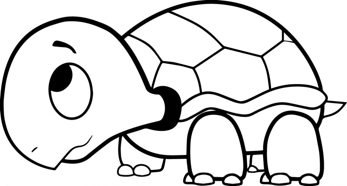 1160x622 Turtle Printable Coloring Pages Best Of Sea Turtle Cartoon Drawing