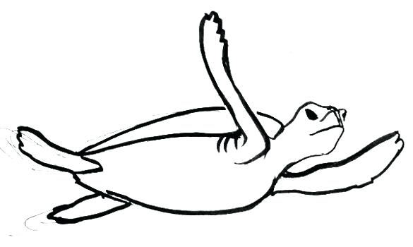 585x350 Draw A Sea Turtle