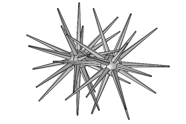 595x396 Schematic Diagram Of The Sea Urchin Structure Download