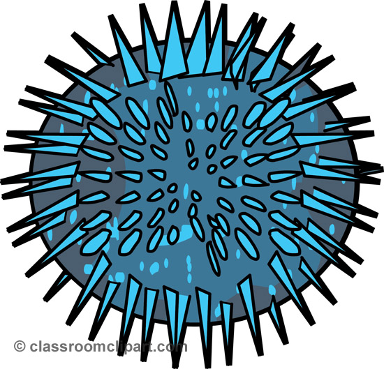 550x529 Sea Urchin Clipart Clip Art Images