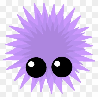320x318 Sea Urchin Image Mopeio