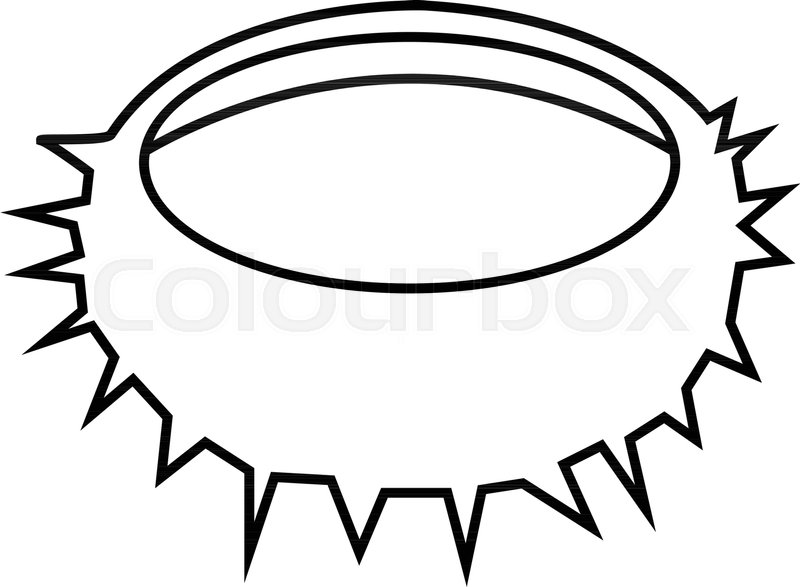 800x587 Seaurchn Outline Illustration Stock Vector Colourbox
