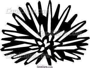 300x229 Sea Urchin Vector Clip Art Mosaic Clip Art, Art, Sea