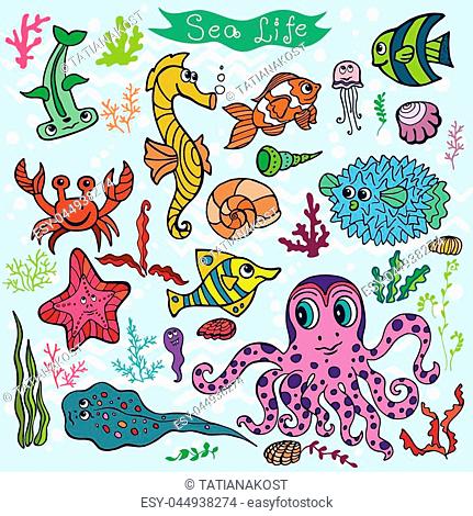 431x470 Funny Cartoon Seahorse Stock Photos And Images Age Fotostock