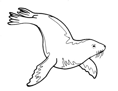 Sea World Drawing | Free download on ClipArtMag