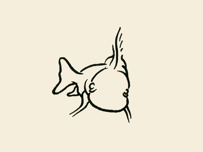 664x498 The World's Best Photos Of Reca And Sea