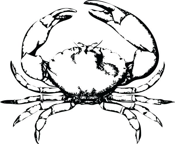600x494 Drawing Of A Crab Crab Drawing On White Background Hand Drawn