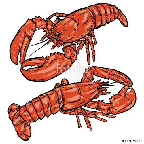 500x500 Lobster With Claws On A Vintage Background Seafood Drawing