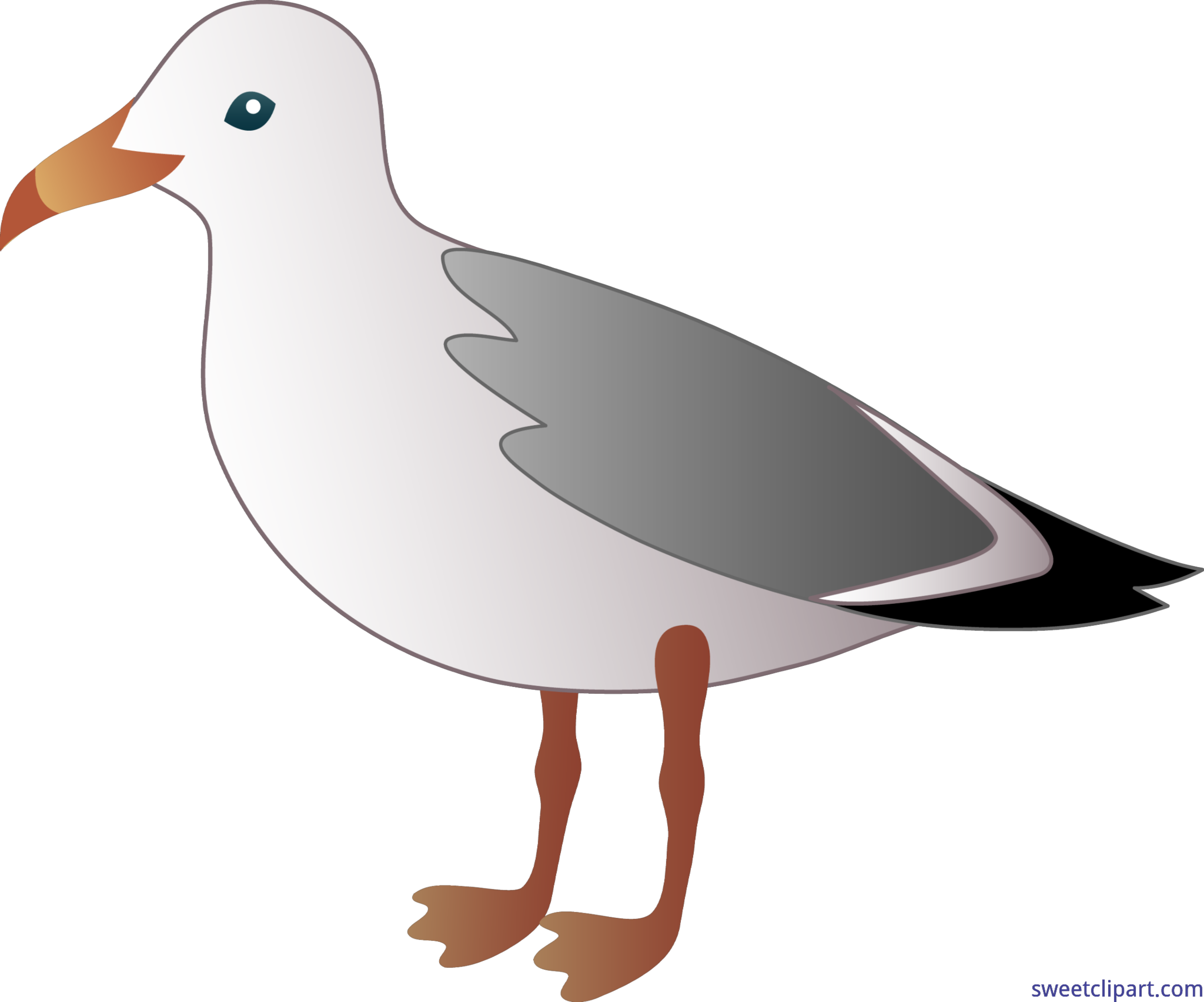 7458x6204 Collection Of Free Seagull Drawing Flying Download On Ui Ex