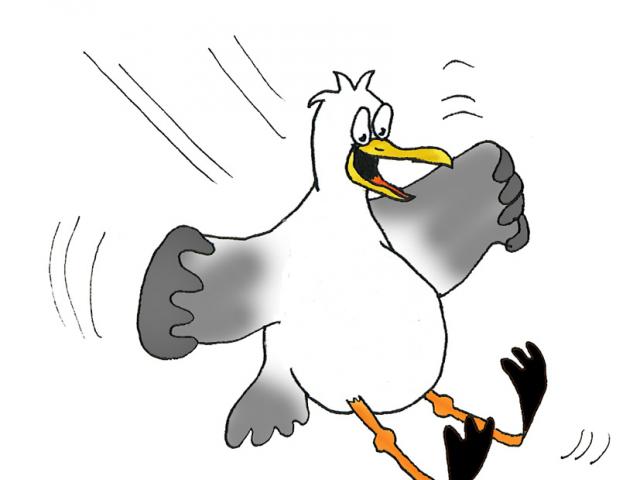 640x480 Free Seagull Clipart, Download Free Clip Art