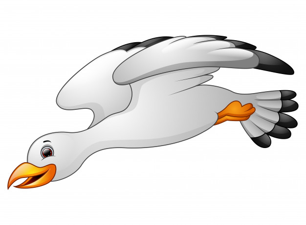 626x459 Vector Illustration Of Cartoon Seagulls Flying Vector Premium
