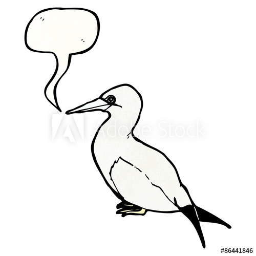 500x500 Cartoon Seagull