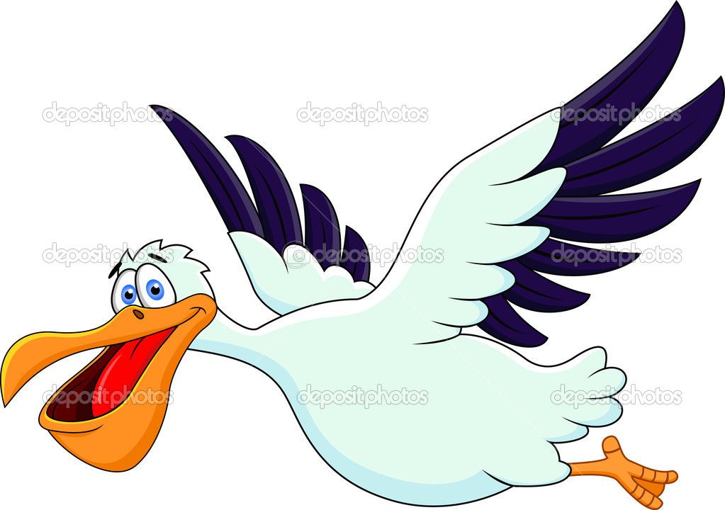 1023x720 Cartoons Flying Figures Seagull Cartoons Cartoon Funny