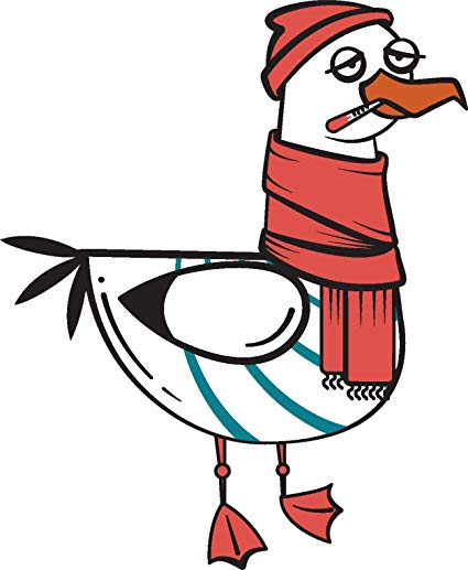 425x517 Silly Funny Weird Ocean Seagull Cartoon Vinyl Sticker
