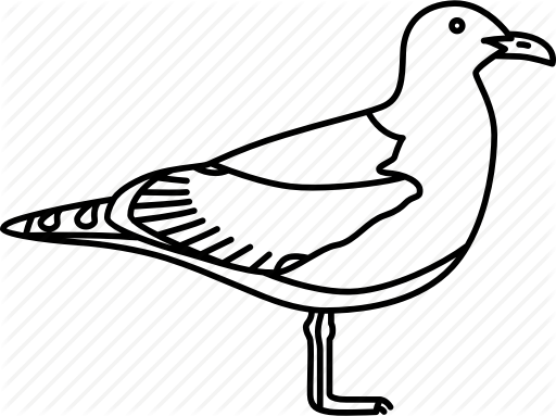 512x383 Bird, British, Sea, Seagull, Seaside Icon