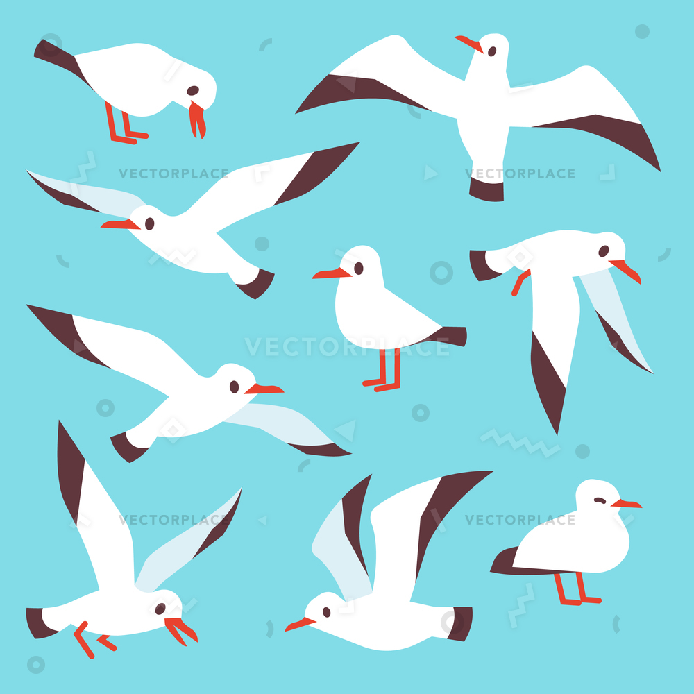 1000x1000 Cartoon Atlantic Seabird Seagulls Flying Blue Vector Illustration