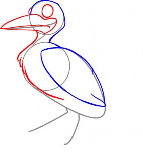 284x302 Draw A Seagull, Step