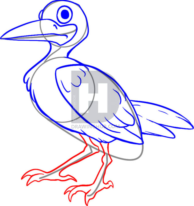 676x720 How To Draw A Seagull, Step