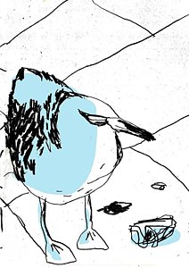 212x300 Seagull Birds Drawings