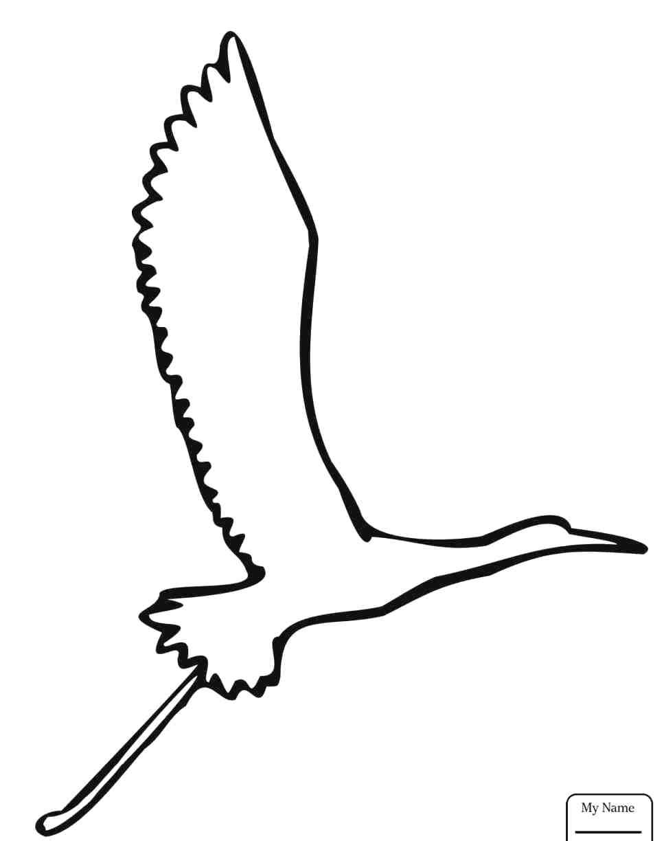 967x1224 Seagull Coloring Sheets Pages Flying