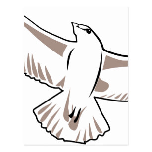 307x307 Seagull Drawing Postcards Zazzle Ca