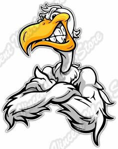 237x300 Seagull Line Drawing Transparent Png Clipart Free Download