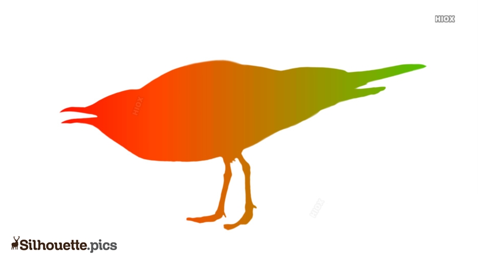 934x534 Seagull Silhouette Line Drawing Silhouette Pics