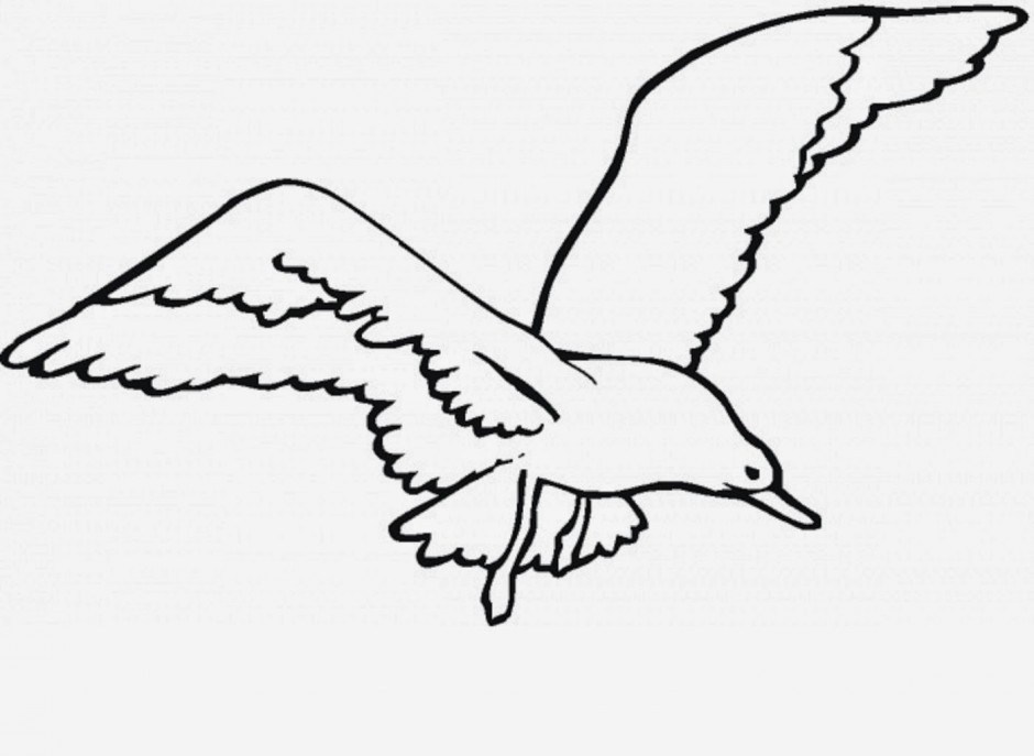 940x687 Amazing Flying Seagull Drawing