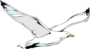 300x165 Collection Of Free Seagull Drawing Ink Download On Ui Ex