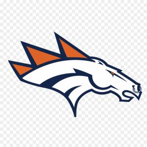 300x300 seattle seahawks seahawk logo football background city fans