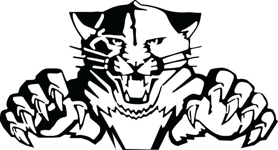 900x486 Seahawks Logo Outline