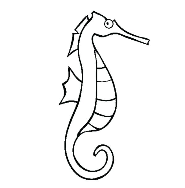 600x612 draw a seahorse draw a seahorse draw seahorse cute hoteles
