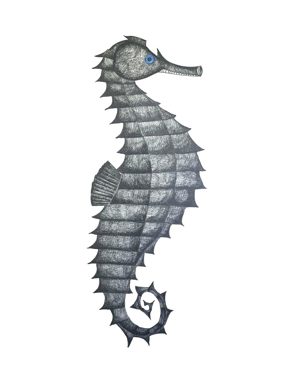1000x1294 drawing a seahorse seahorse cartoon seahorse drawing step