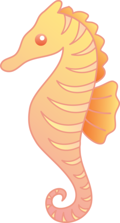 400x743 Drawing Seahorse Cute Cartoon Transparent Png Clipart Free