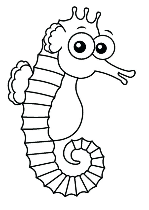 600x847 Out Line Drawing For Kids Seahorse Architecture Synonyms In French