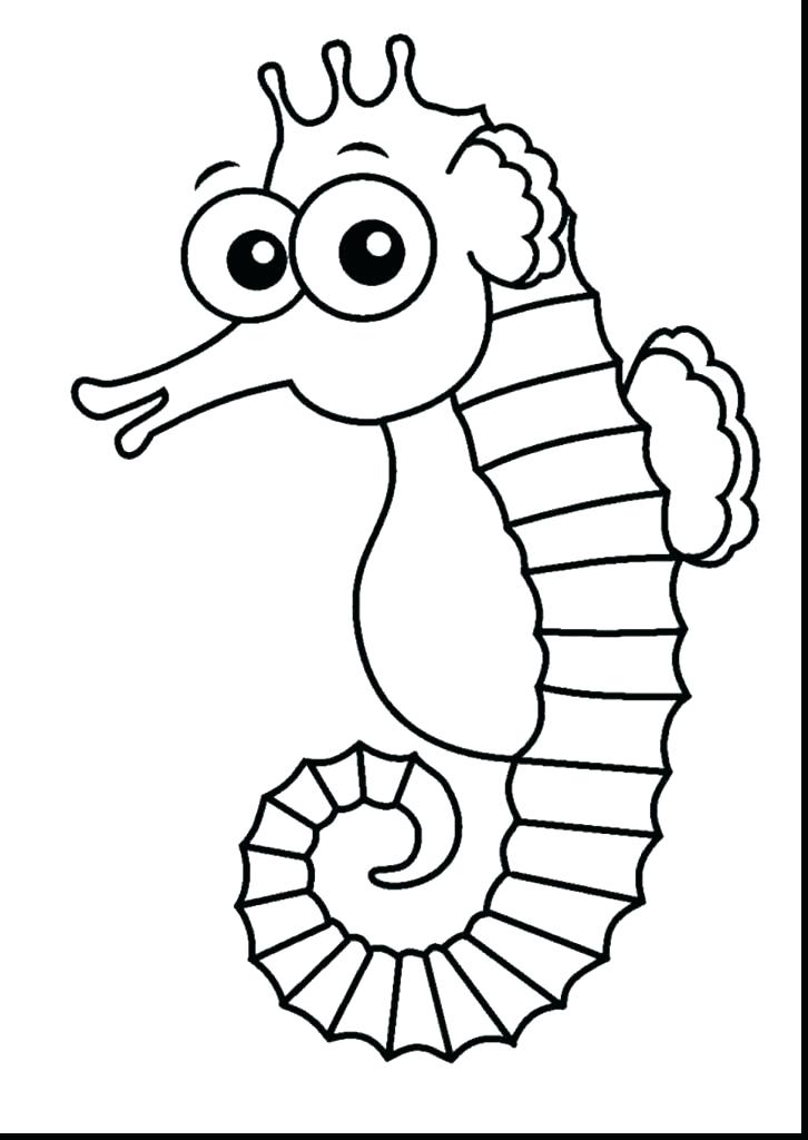 726x1024 Outline Of Seahorse Seahorse Outline Clipart