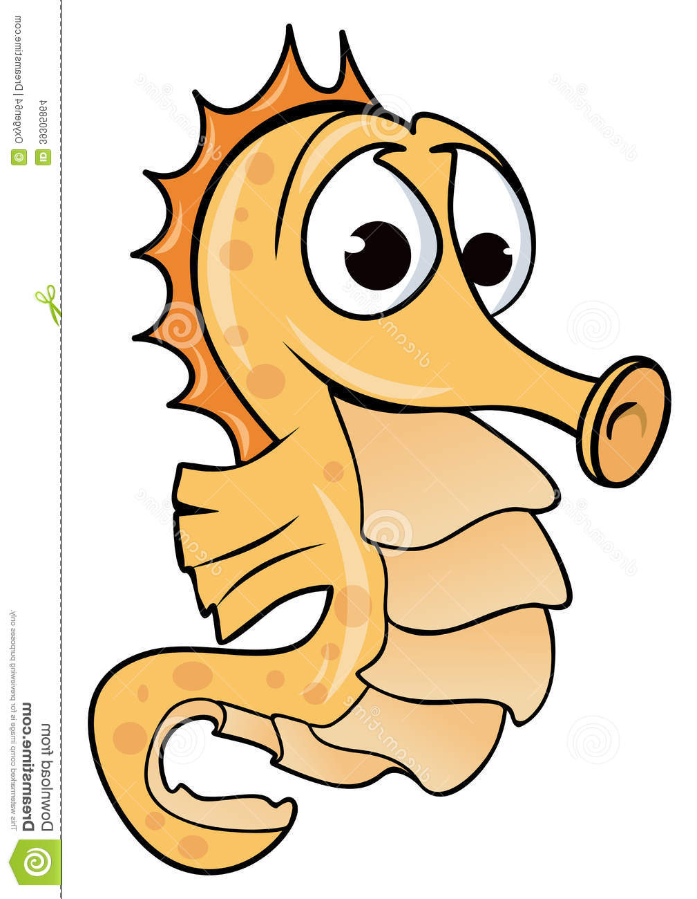 1009x1300 Seahorse Drawing Stock Vector