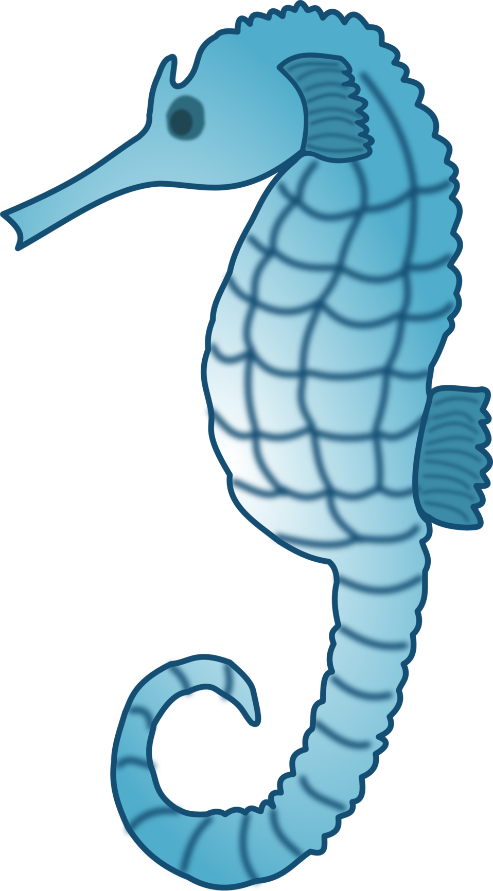 958x1732 Drawing Seahorse