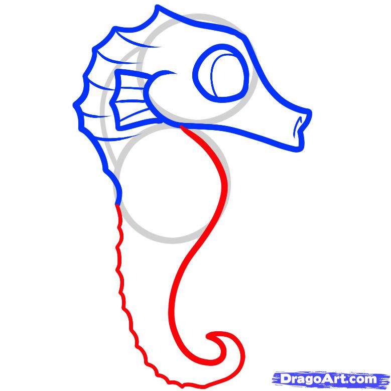 779x779 How To Draw A Seahorse For Kids, Step