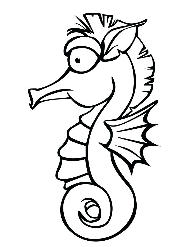 700x933 Outline Of A Seahorse Seahorse Drawing Steps