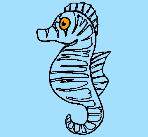 505x470 Seahorse, Drawing, Painting, Transparent Png Image Clipart Free
