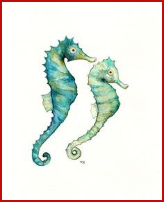 236x291 Seahorse Drawing Best Seahorse Images