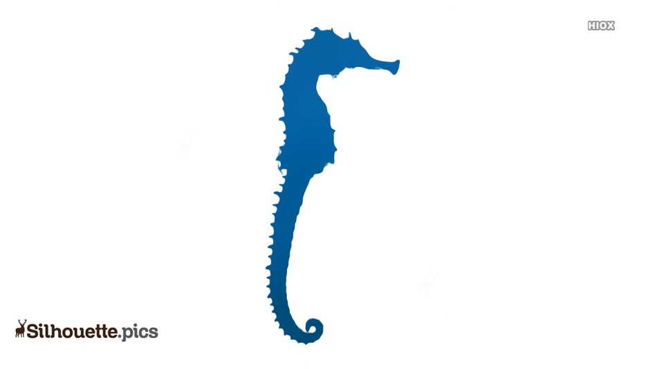 934x534 Seahorse Drawing Silhouette Images, Pictures
