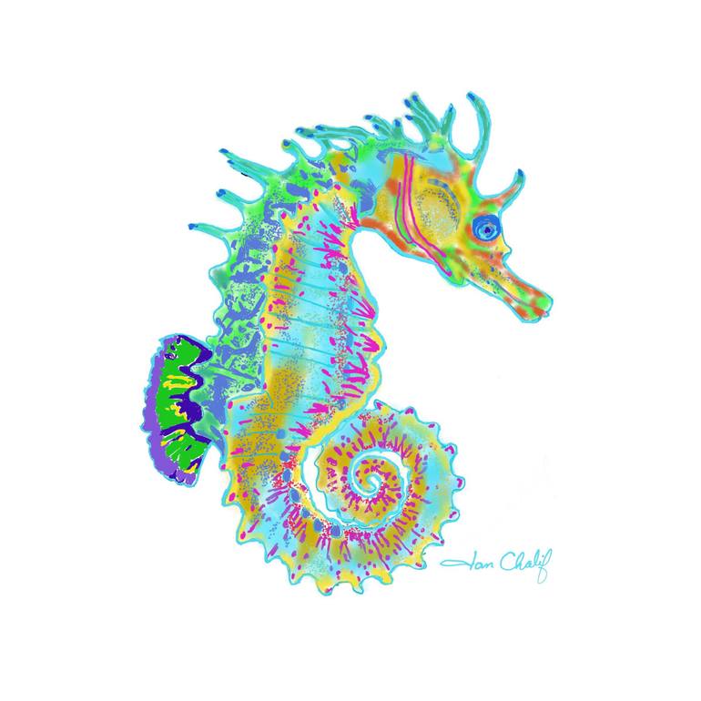 770x770 Seahorse Drawing
