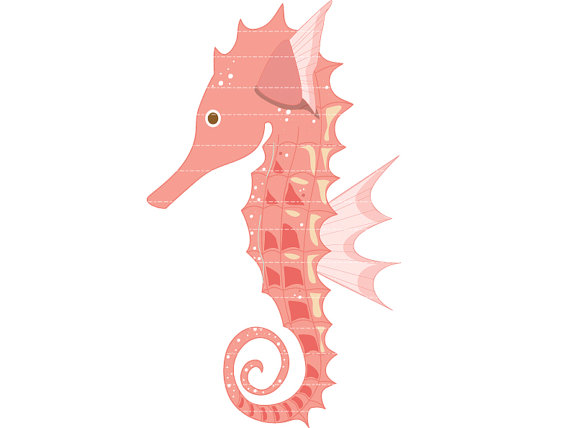 570x428 seahorse on seahorses seahorse drawing and clip art