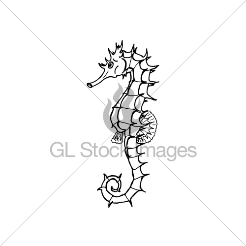 500x500 Vector Illustration Of Seahorse Silhouette Hand Drawing Gl