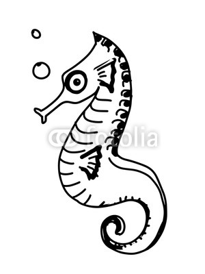 300x400 Cartoon Illustration Seahorse Drawing Buy Photos Ap Images