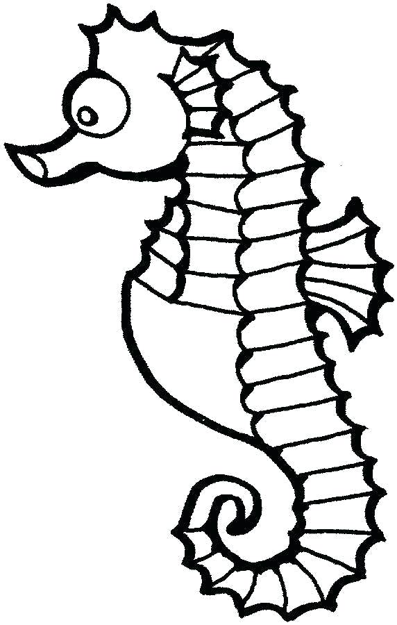 572x900 coloring seahorse seahorse drawing co seahorse coloring picture